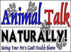 animaltalknaturallyidea3.JPG